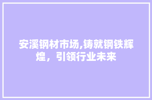 安溪钢材市场,铸就钢铁辉煌，引领行业未来