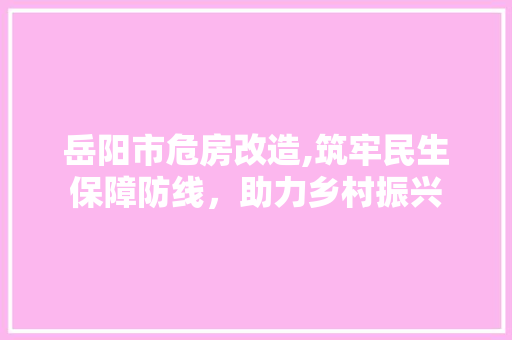 岳阳市危房改造,筑牢民生保障防线，助力乡村振兴