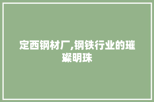 定西钢材厂,钢铁行业的璀璨明珠