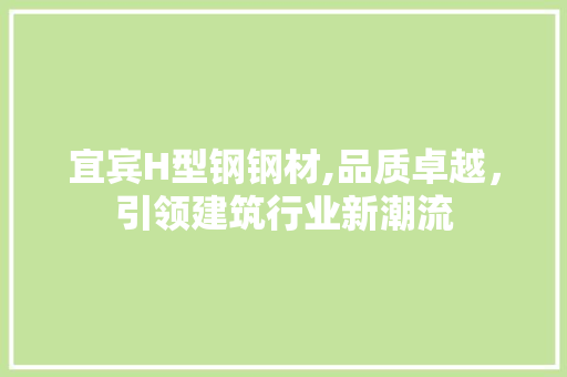 宜宾H型钢钢材,品质卓越，引领建筑行业新潮流