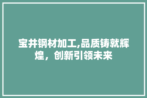 宝井钢材加工,品质铸就辉煌，创新引领未来