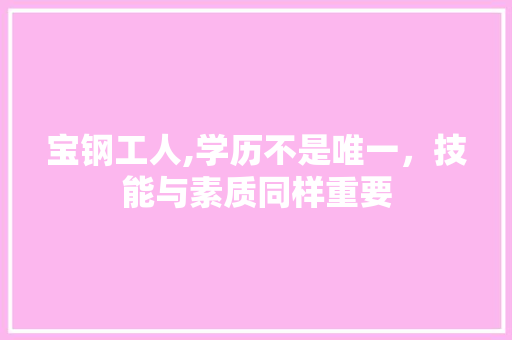 宝钢工人,学历不是唯一，技能与素质同样重要
