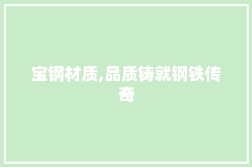 宝钢材质,品质铸就钢铁传奇