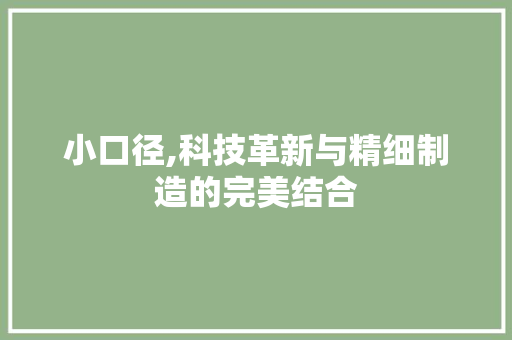小口径,科技革新与精细制造的完美结合