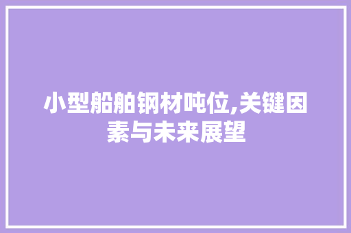 小型船舶钢材吨位,关键因素与未来展望