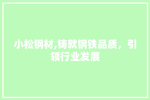 小松钢材,铸就钢铁品质，引领行业发展