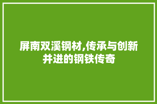 屏南双溪钢材,传承与创新并进的钢铁传奇