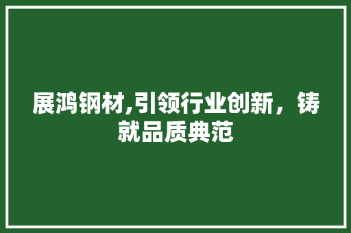 展鸿钢材,引领行业创新，铸就品质典范