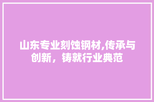 山东专业刻蚀钢材,传承与创新，铸就行业典范
