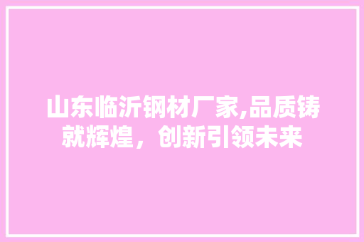 山东临沂钢材厂家,品质铸就辉煌，创新引领未来