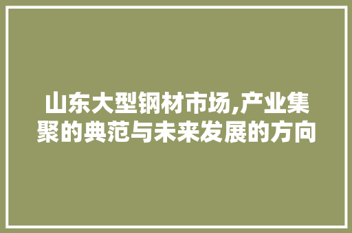 山东大型钢材市场,产业集聚的典范与未来发展的方向