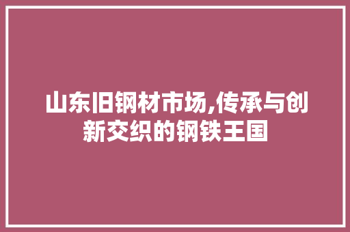 山东旧钢材市场,传承与创新交织的钢铁王国