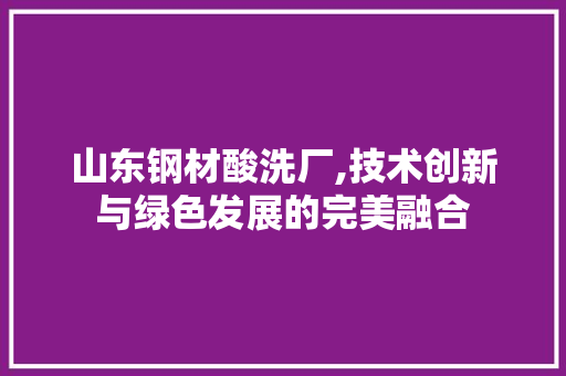 山东钢材酸洗厂,技术创新与绿色发展的完美融合