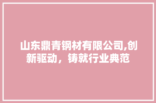 山东鼎青钢材有限公司,创新驱动，铸就行业典范