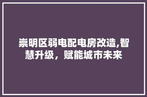 崇明区弱电配电房改造,智慧升级，赋能城市未来