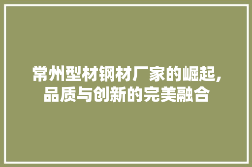 常州型材钢材厂家的崛起,品质与创新的完美融合