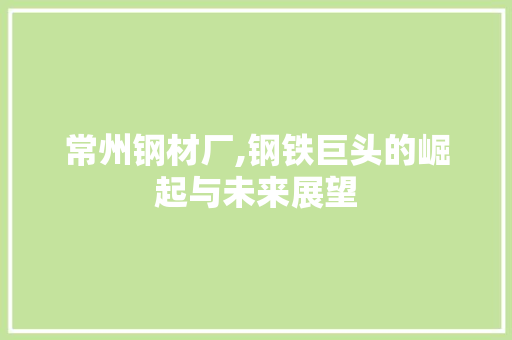 常州钢材厂,钢铁巨头的崛起与未来展望