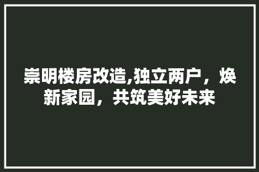 崇明楼房改造,独立两户，焕新家园，共筑美好未来
