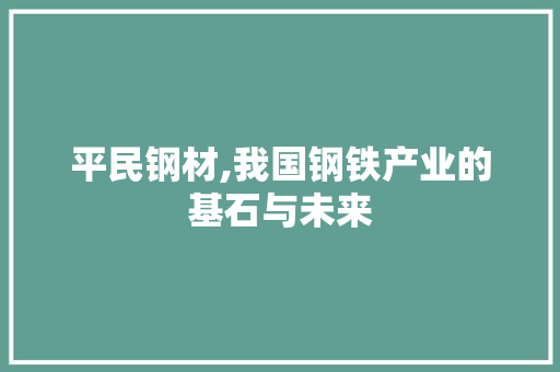 平民钢材,我国钢铁产业的基石与未来
