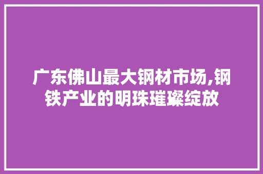 广东佛山最大钢材市场,钢铁产业的明珠璀璨绽放