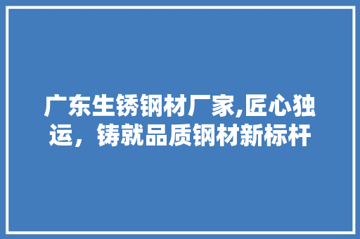广东生锈钢材厂家,匠心独运，铸就品质钢材新标杆