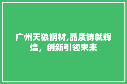 广州天狼钢材,品质铸就辉煌，创新引领未来