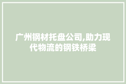 广州钢材托盘公司,助力现代物流的钢铁桥梁