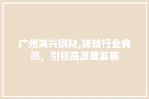 广州鸿兴钢材,铸就行业典范，引领高质量发展