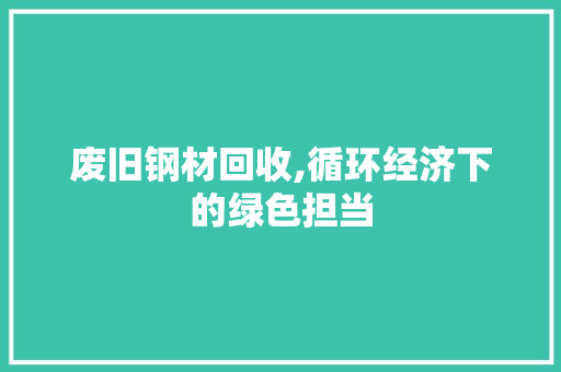 废旧钢材回收,循环经济下的绿色担当
