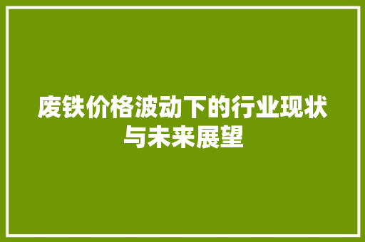 废铁价格波动下的行业现状与未来展望