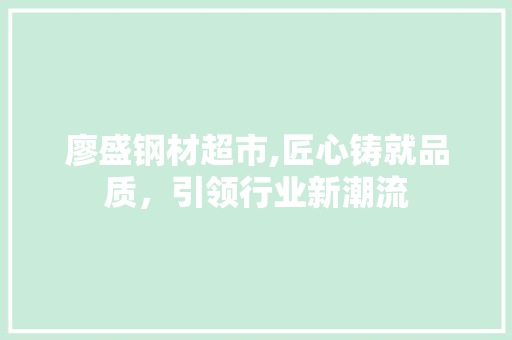 廖盛钢材超市,匠心铸就品质，引领行业新潮流