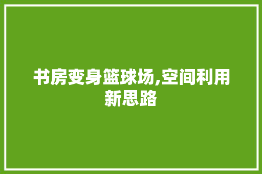 书房变身篮球场,空间利用新思路