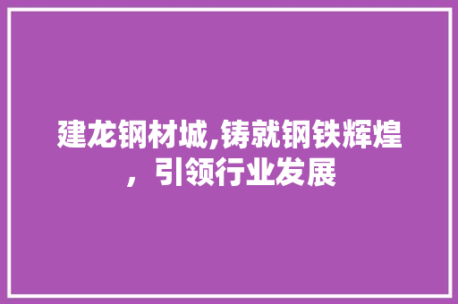 建龙钢材城,铸就钢铁辉煌，引领行业发展