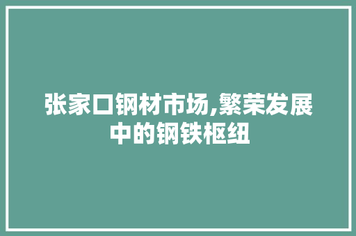 张家口钢材市场,繁荣发展中的钢铁枢纽 装修材料