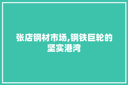 张店钢材市场,钢铁巨轮的坚实港湾