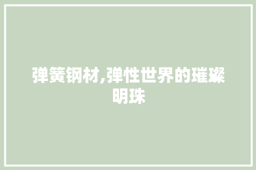 弹簧钢材,弹性世界的璀璨明珠