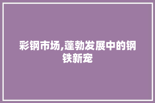 彩钢市场,蓬勃发展中的钢铁新宠