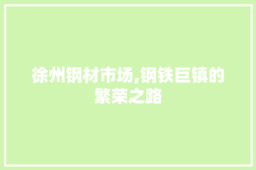 徐州钢材市场,钢铁巨镇的繁荣之路