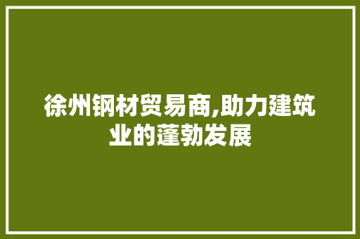 徐州钢材贸易商,助力建筑业的蓬勃发展