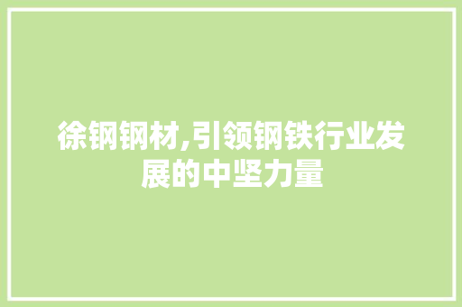 徐钢钢材,引领钢铁行业发展的中坚力量