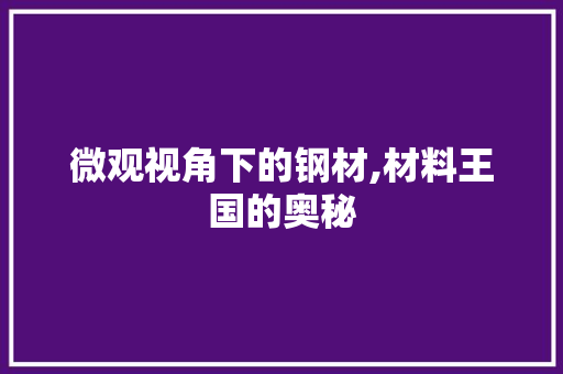 微观视角下的钢材,材料王国的奥秘 地面装修