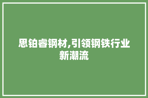 思铂睿钢材,引领钢铁行业新潮流