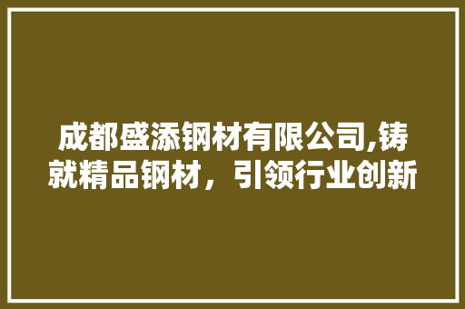 成都盛添钢材有限公司,铸就精品钢材，引领行业创新
