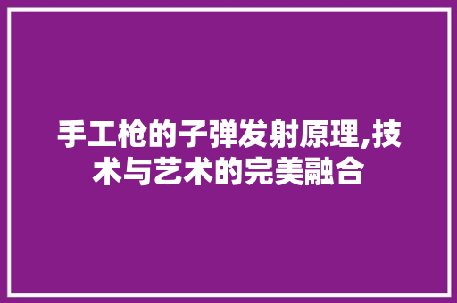 手工枪的子弹发射原理,技术与艺术的完美融合