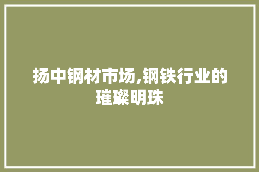 扬中钢材市场,钢铁行业的璀璨明珠