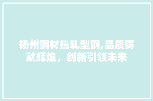 扬州钢材热轧型钢,品质铸就辉煌，创新引领未来