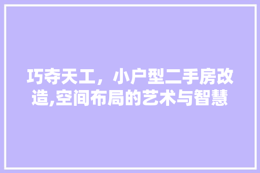 巧夺天工，小户型二手房改造,空间布局的艺术与智慧