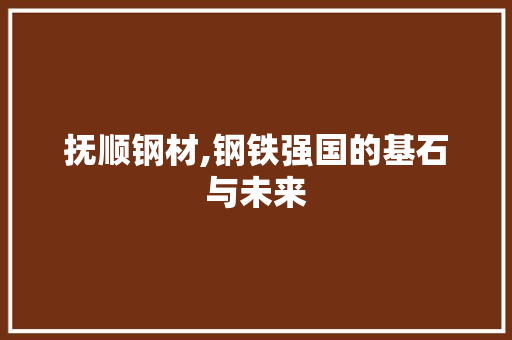 抚顺钢材,钢铁强国的基石与未来