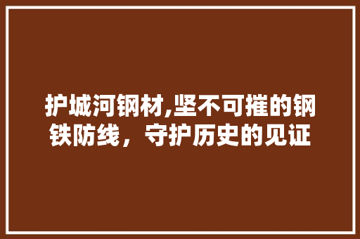 护城河钢材,坚不可摧的钢铁防线，守护历史的见证