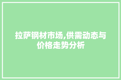 拉萨钢材市场,供需动态与价格走势分析